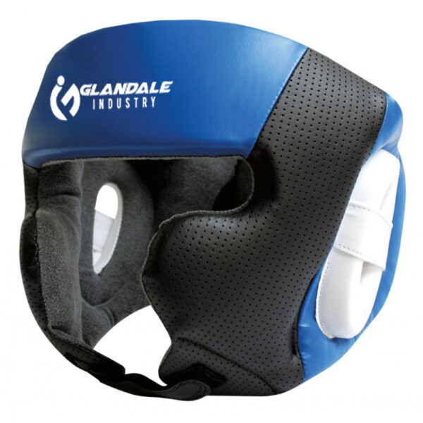 Head Guards