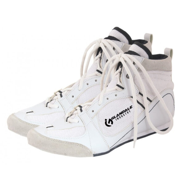 Boxing Shoes