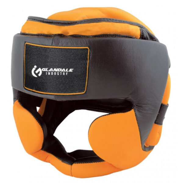 Head Guards