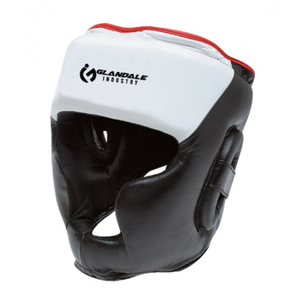Head Guards