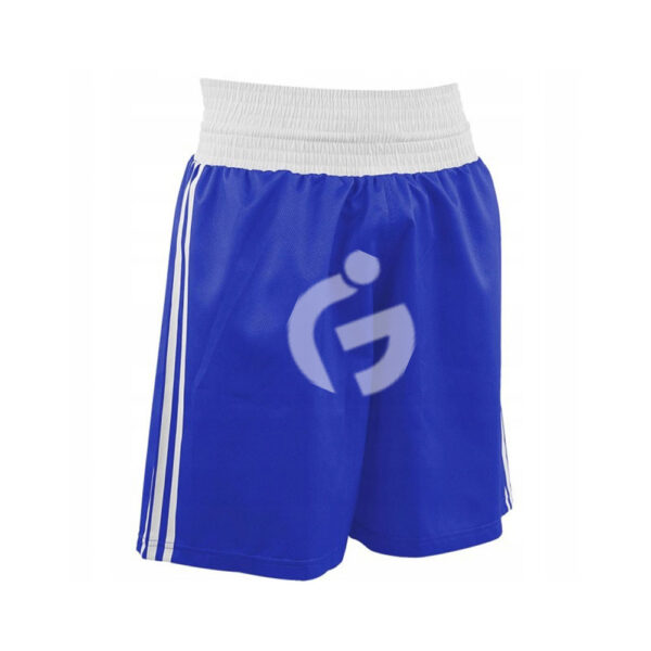 Muay Thai Shorts