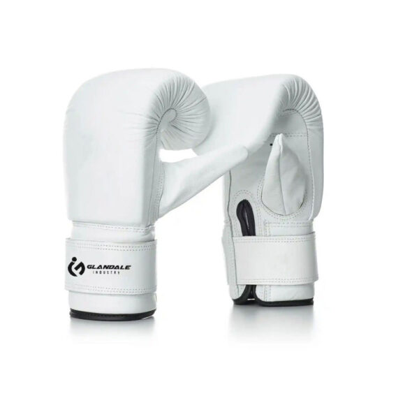 Boxing Mitts