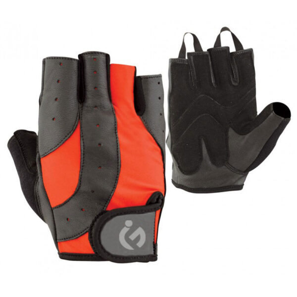 Economy Weight Lifting Glove