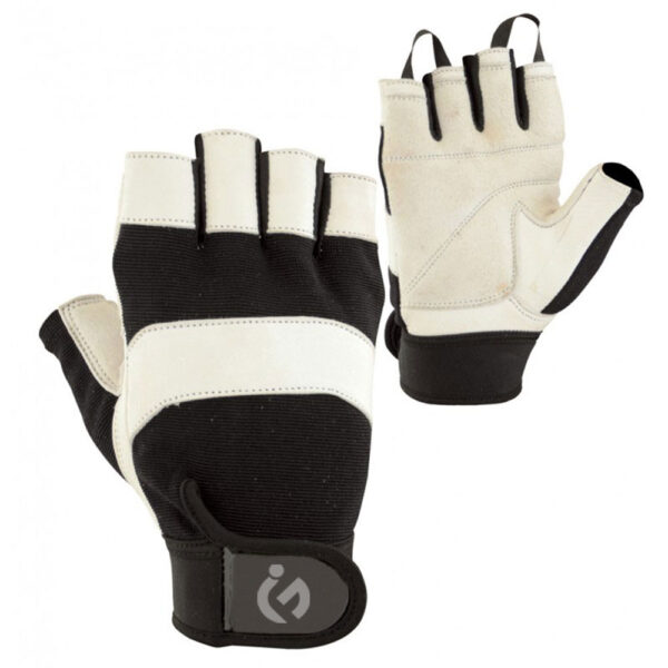 Economy Weight Lifting Glove