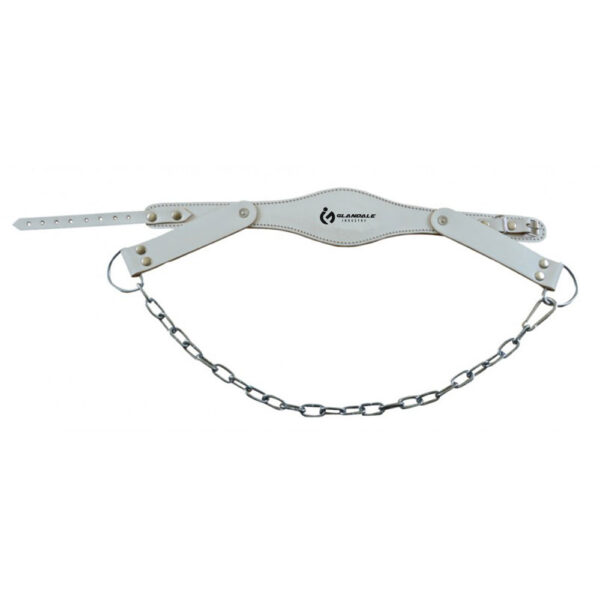 Leather Head Harness