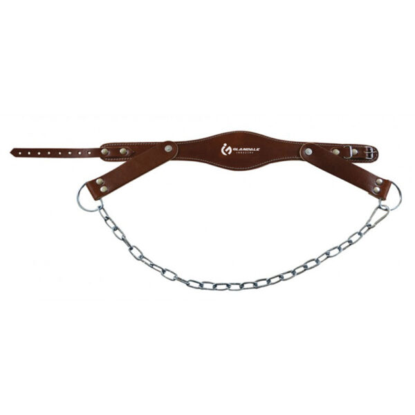 Leather Head Harness
