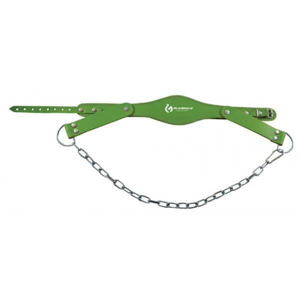 Leather Head Harness