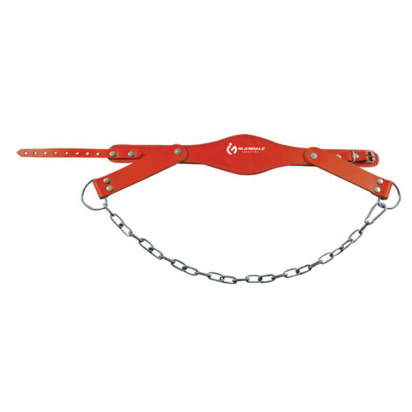 Leather Head Harness