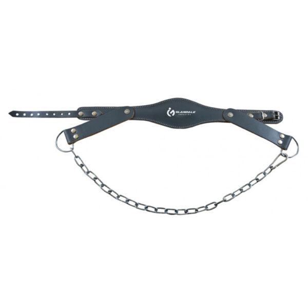 Leather Head Harness