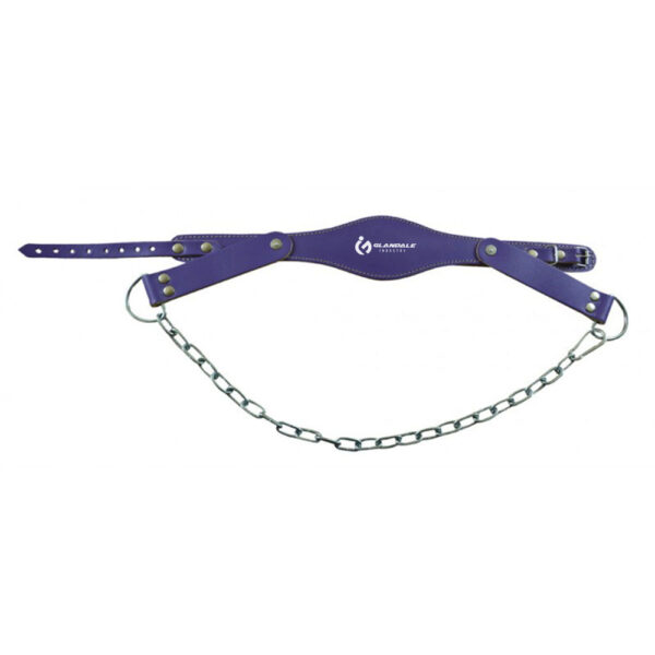 Leather Head Harness