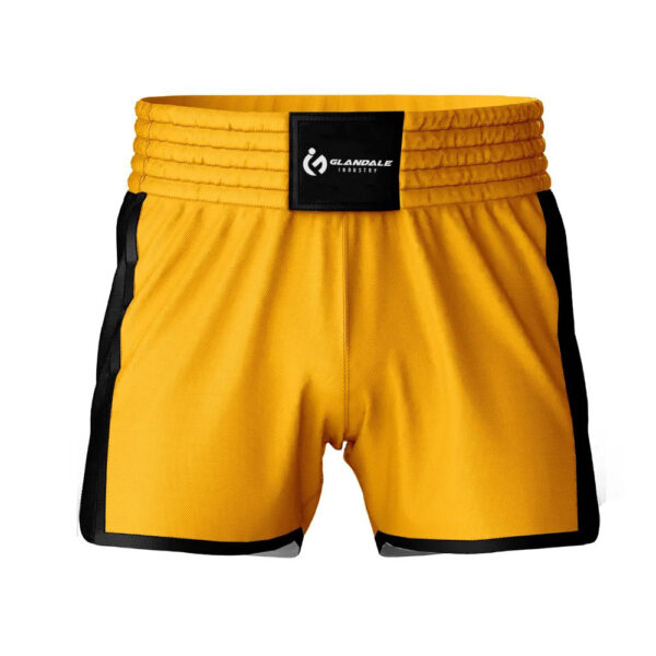 Muay Thai Shorts