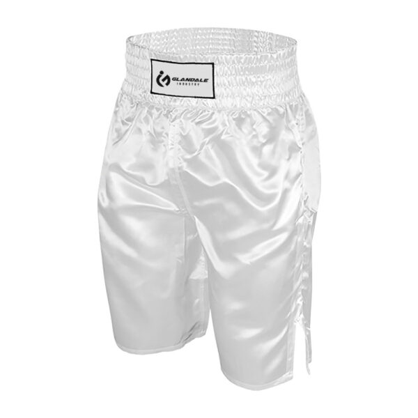 Muay Thai Shorts