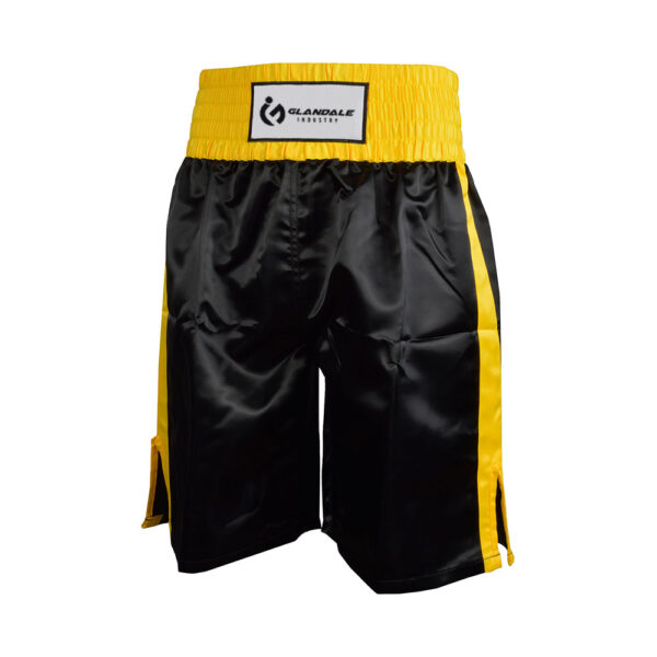 Muay Thai Shorts