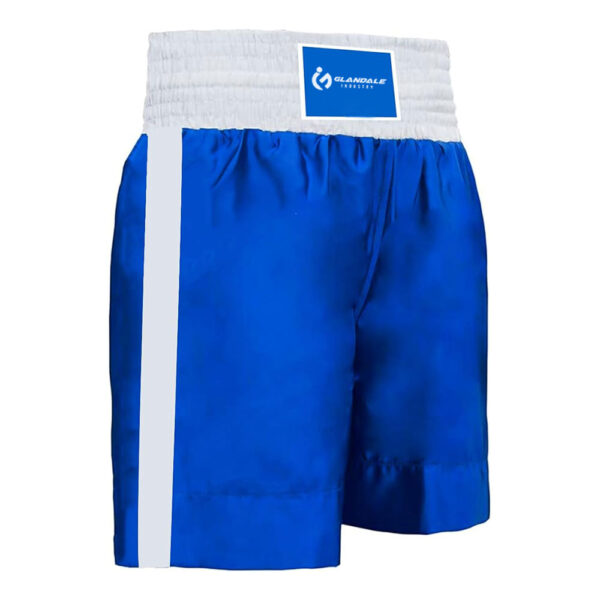 Muay Thai Shorts